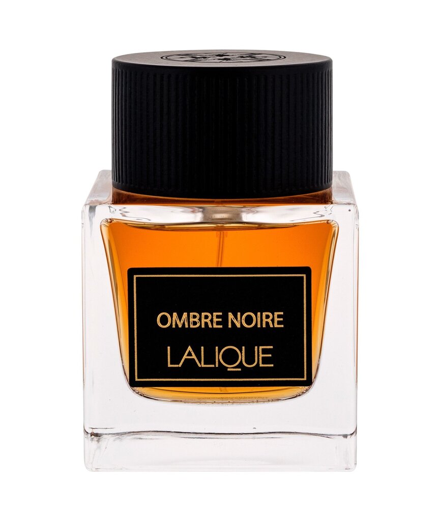 Parfimērijas ūdens Lalique Ombre Noire EDP vīriešiem, 100 ml cena un informācija | Vīriešu smaržas | 220.lv