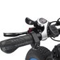 Elektriskais velosipēds Philodo H8 AWD, 26", zils цена и информация | Elektrovelosipēdi | 220.lv