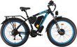 Elektriskais velosipēds Philodo H8 AWD, 26", zils цена и информация | Elektrovelosipēdi | 220.lv