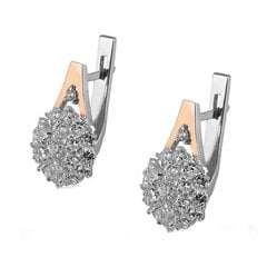 Серебряные серьги с фианитами цена и информация | Серьги | 220.lv