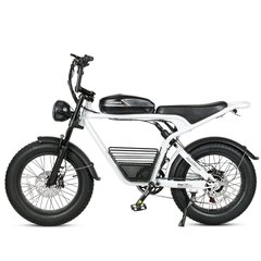 Электровелосипед Samebike M20, 20", белый, 1000Вт, 16Ач цена и информация | Электровелосипеды | 220.lv