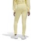 Sorta bikses sievietēm Adidas SL HW, dzeltens цена и информация | Sporta apģērbs sievietēm | 220.lv