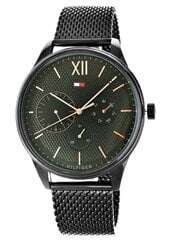 Zegarek Męski Tommy Hilfiger 1791420 цена и информация | Мужские часы | 220.lv