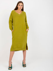 Džempera kleita sievietēm, zaļš cena un informācija | Sieviešu džemperi | 220.lv