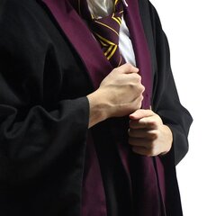 Халат волшебника Гарри Поттера, плащ Гриффиндора, размер XL цена и информация | Карнавальные костюмы, парики и маски | 220.lv