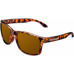 Unisex Saulesbrilles Northweek Bold Tortoise Ø 48 mm Brūns Melns - S05118380 цена и информация | Солнцезащитные очки для мужчин | 220.lv