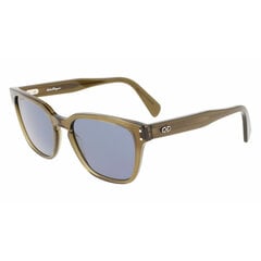 Vīriešu Saulesbrilles Salvatore Ferragamo SF1040S-320 Ø 55 mm - цена и информация | Солнцезащитные очки для мужчин | 220.lv