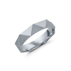 Серебряное (925) кольцо с классическим дизайном, код ah5ss3761, EU-59 (~18,75 мм) AH5SS3761EU-59 цена и информация | Кольца | 220.lv
