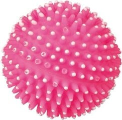 Игольчатый мячик Trixie, 16 см цена и информация | Игрушки для собак | 220.lv