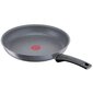 Tefal panna, 24 cm цена и информация | Pannas | 220.lv