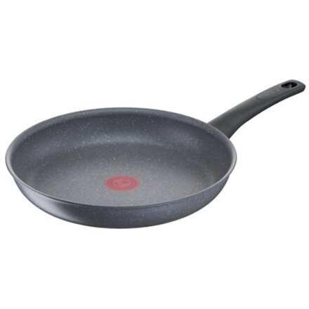 Tefal panna, 24 cm цена и информация | Pannas | 220.lv