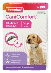 Nomierinoša kaklasiksna kucēniem Beaphar Comfort Collar Puppy, 45cm cena un informācija | Pavadas, apkakles, siksnas kaķiem | 220.lv