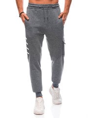 мужские спортивные штаны p1371 - серый цена и информация | Мужские брюки | 220.lv