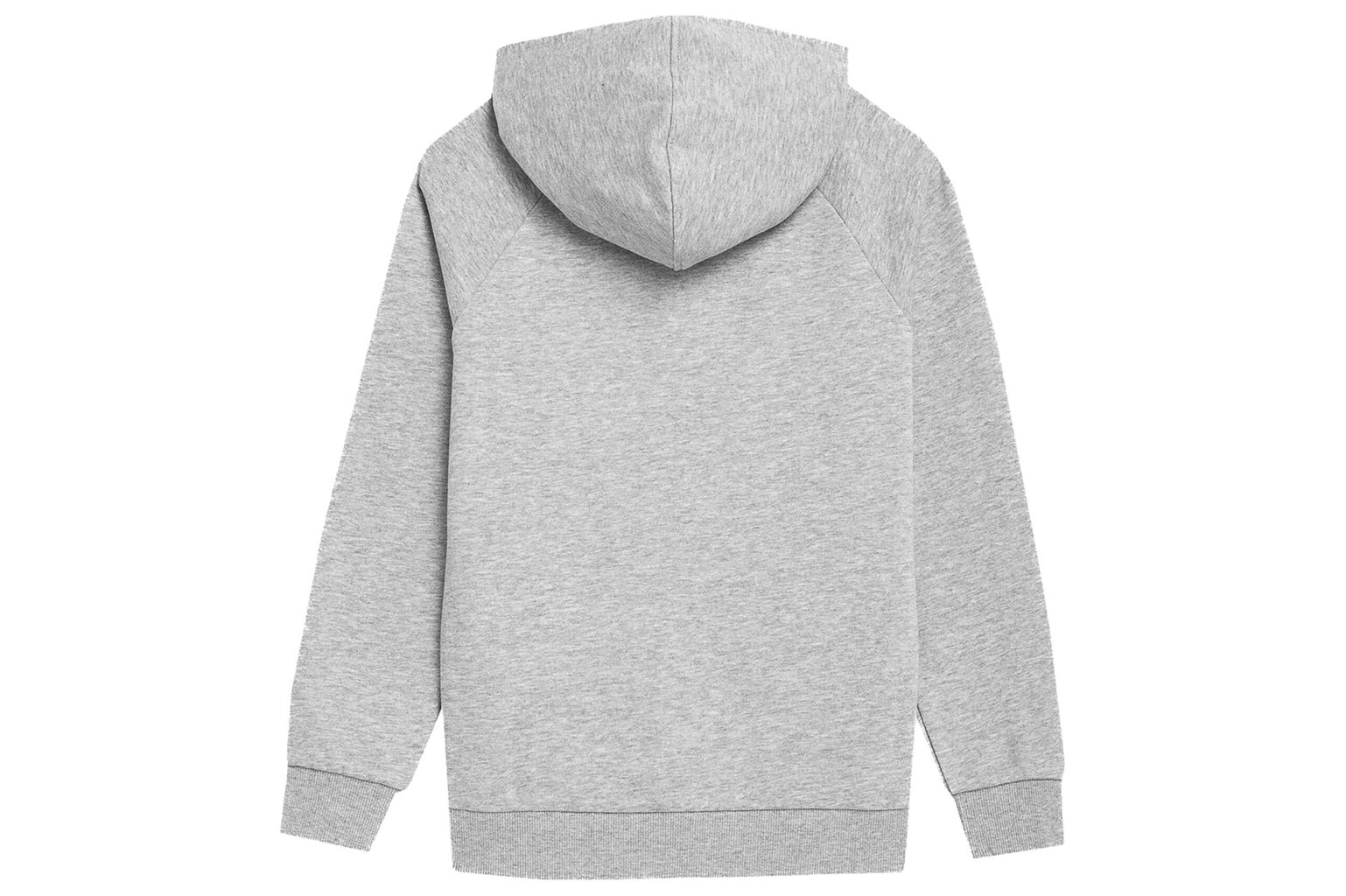 Džemperis zēniem 4F M220, pelēks cena un informācija | Zēnu jakas, džemperi, žaketes, vestes | 220.lv