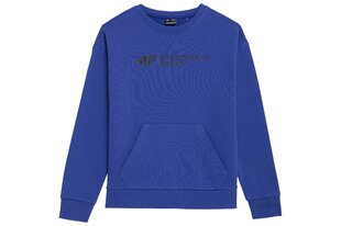 Džemperis zēniem 4F M222, zils cena un informācija | Zēnu jakas, džemperi, žaketes, vestes | 220.lv