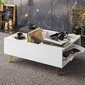 Kafijas galdiņš Asir, 90x63x34 cm, balts cena un informācija | Žurnālgaldiņi | 220.lv