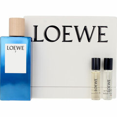 Komplekts vīriešiem Loewe 7, 3 gab. cena un informācija | Vīriešu smaržas | 220.lv