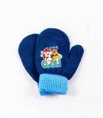 Детские перчатки Paw Patrol 180166 01 180166*01-ONE, тёмно-синие цена и информация | Шапки, перчатки, шарфы для мальчиков | 220.lv