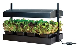 Grow Light Garden. цена и информация | Проращиватели, лампы для растений | 220.lv