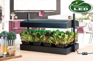 Grow Light Garden. цена и информация | Проращиватели, лампы для растений | 220.lv