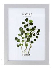 Foto rāmis Nature D315 15x21 cm цена и информация | Рамки, фотоальбомы | 220.lv