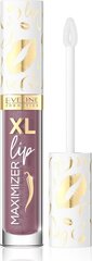 Lūpu spīdums Eveline XL Lip Maximizer nr 06 Bali Island, 4,5 ml cena un informācija | Lūpu krāsas, balzāmi, spīdumi, vazelīns | 220.lv