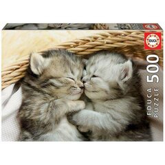 Головоломка Kitten 500 д. цена и информация | Пазлы | 220.lv