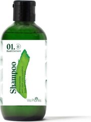 Stiprinošs šampūns Elfa Pharm Basil Element, 75 ml cena un informācija | Šampūni | 220.lv