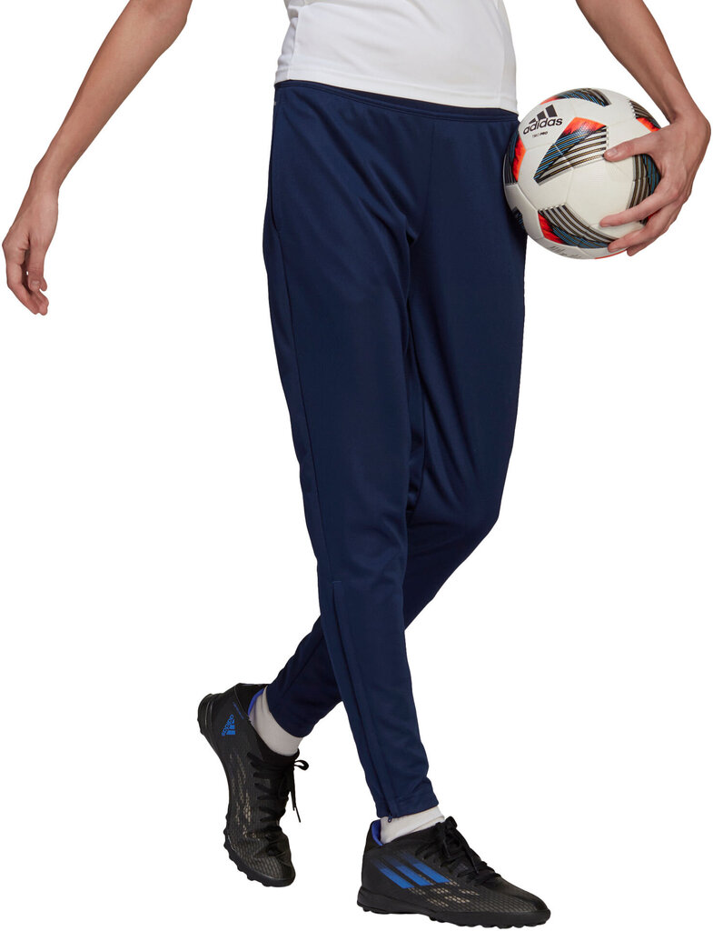 Sporta bikses zēniem Adidas, zilas цена и информация | Bikses zēniem | 220.lv