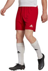 Adidas Шорты Entrada 22 Red H61735 H61735/2XL цена и информация | Мужские шорты | 220.lv