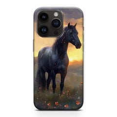 Alerio Print iPhone 15 Pro cena un informācija | Telefonu vāciņi, maciņi | 220.lv