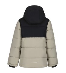 Детская куртка Icepeak Louin 300 г 50035-4*230 6438549482539, светло-серая/черная цена и информация | Куртки для мальчиков | 220.lv