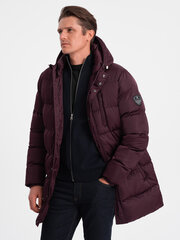 Мужская зимняя куртка Ombre OM-JALJ-0147 цена и информация | Мужские куртки | 220.lv