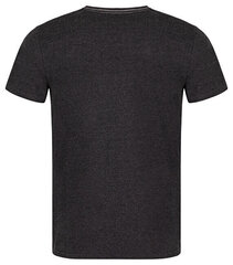 T-krekls vīriešiem Alpron CLM2311-V21A, melns cena un informācija | Vīriešu T-krekli | 220.lv