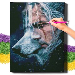 Dimantu mozaīka The Witcher Oh Art!, 40x50 cm cena un informācija | Dimantu mozaīkas | 220.lv