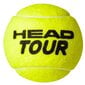 Tenisa bumbiņas Head Tour, dzeltenas cena un informācija | Āra tenisa preces | 220.lv