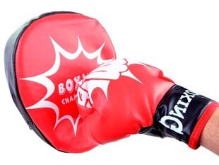 Тренировочный комплект боксерских перчаток цена и информация | Боевые искусства | 220.lv