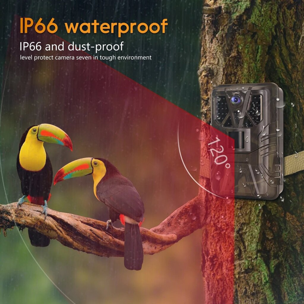 WiFi medību kamera 36MP Livman 910Pro cena un informācija | Medību piederumi | 220.lv