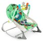 Bērnu šūpuļkrēsls 2in1 Eco Toys 27244, zaļš cena un informācija | Bērnu krēsliņi un bērnu galdiņi | 220.lv