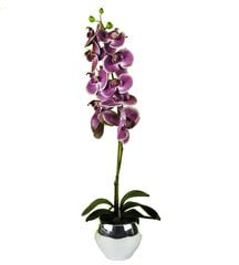 Искусственная орхидея Милана 75см цена и информация | Искусственные цветы | 220.lv