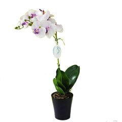 Mākslīgā orhideja Viktorija 65cm cena un informācija | Mākslīgie ziedi | 220.lv