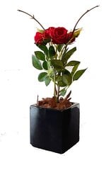 Mākslīgā roze Rosalia 35cm cena un informācija | Mākslīgie ziedi | 220.lv