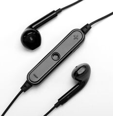 Беспроводные спортивные наушники BestSin Sports Headset Wh-005 Bluetooth с микрофоном черные цена и информация | Наушники с микрофоном Asus H1 Wireless Чёрный | 220.lv