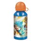 Ūdens pudele Dragon Ball Z 20734 Alumīnijs 400 ml cena un informācija | Datorspēļu suvenīri | 220.lv