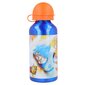 Ūdens pudele Dragon Ball Z 20734 Alumīnijs 400 ml cena un informācija | Datorspēļu suvenīri | 220.lv