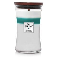 WoodWick свеча Large Icy Woodland Trilogy Candle 610g цена и информация | Подсвечники, свечи | 220.lv