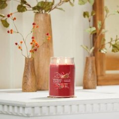 Sparkling Cinnamon - Yankee Candle Signature - большая свеча с двумя фитилями цена и информация | Подсвечники, свечи | 220.lv