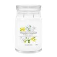 Yankee Candle Signature Midnight Jasmine Liela svecīte