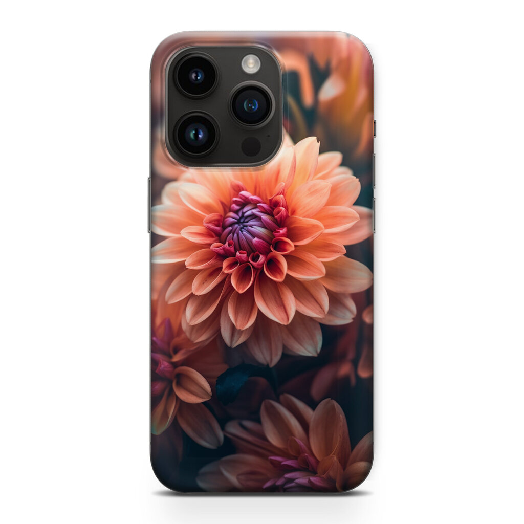 Alerio Print iPhone X цена и информация | Telefonu vāciņi, maciņi | 220.lv