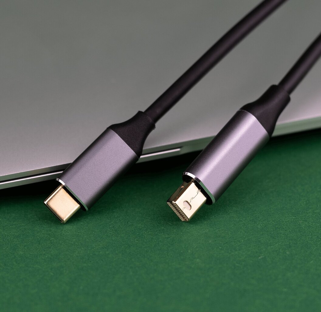 Reagle, USB-C - Mini DisplayPort, 1,8 m cena un informācija | Kabeļi un vadi | 220.lv